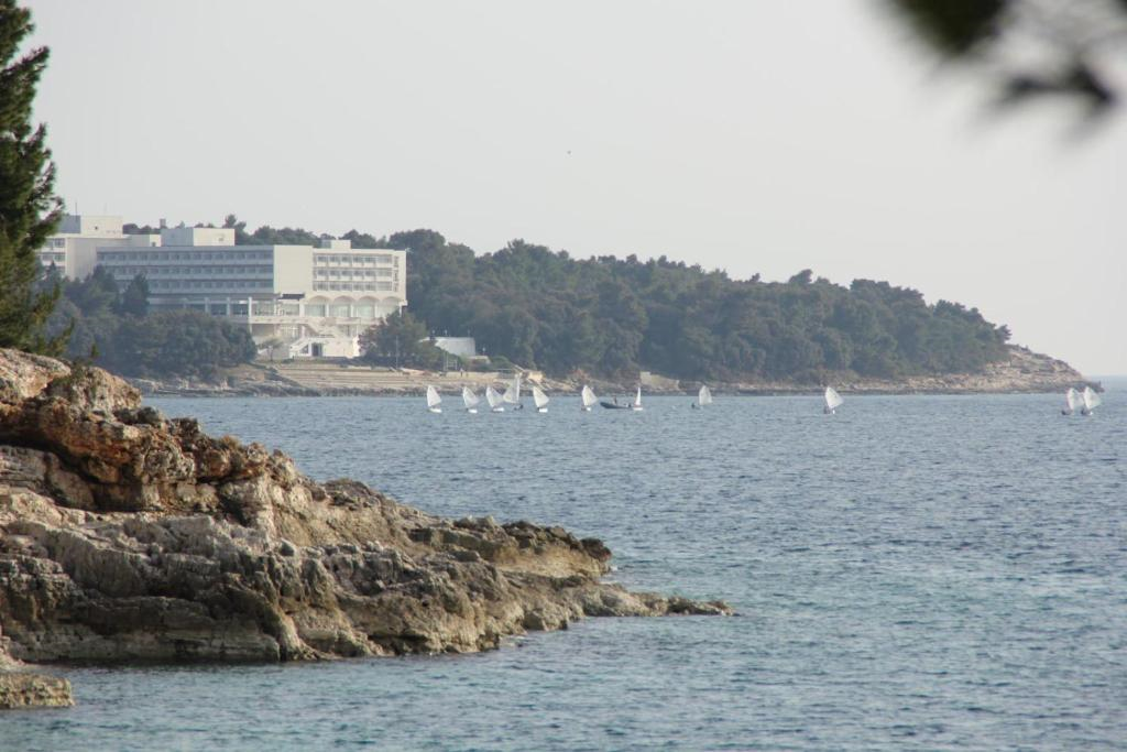 Pula