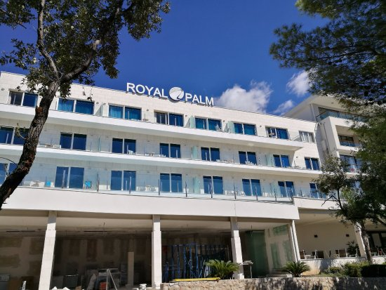 Royal Palm